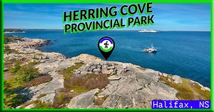 Herring Cove: Rugged Coastal Hike With Ocean Views