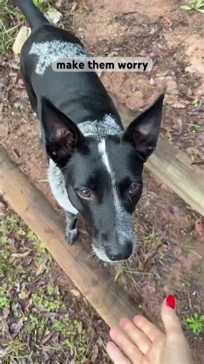 The technology leaders ACTUALLY need