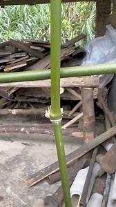 Intro Cooking on Reels