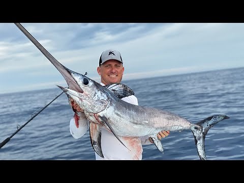 BroadBill Swordfish X 2 {Catch Clean Cook} Gladiator Of The Deep!