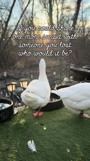 Too many to choose. I've been missing my grandma and my dad a lot lately though