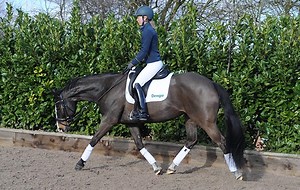 ‘The key that unlocks a horse’s potential’: how to master riding ‘long and low’ - Horse & Hound