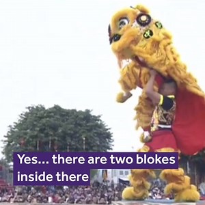 These 'lions' mastered dancing on poles 2.5 metres high for this year's Lion Dance Championships in China #chinesenewyear 🦁😲 | Newsbeat