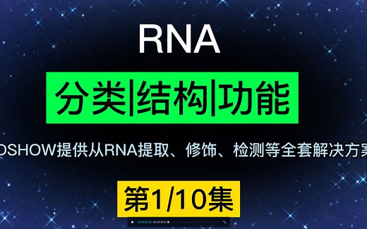 RNA分类|结构|功能