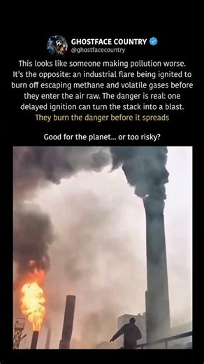 Why Factories Burn Gas on Purpose #shorts