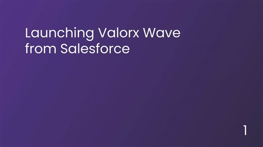 How to edit Salesforce CRM data like a spreadsheet with Valorx Wave