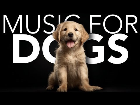 10 HOURS of Dog Relaxing Music 💖🦮 Peaceful Sounds to Help Dogs Sleep and Feel Calm