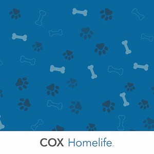 15K views · 12 reactions | Mason the Dog LOVES Easter egg hunts. See what happens when Mason's owners check their Cox Homelife cameras while out at Easter dinner. 凌 Learn how #CoxHomelife can help protect what matters most at www.cox.com/homelife | Cox | Facebook