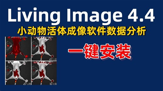 Living Image 4.4【一键安装】小动物活体成像软件数据分析