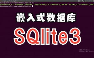 嵌入式数据库：sqllite3实践教程