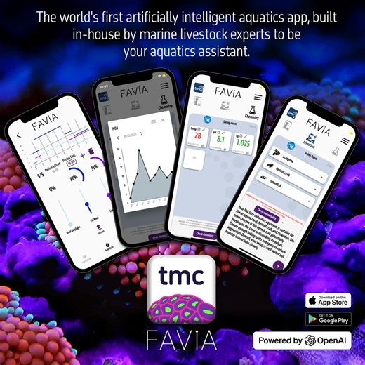 🧠💦 Forgetful fishkeeper? Don’t worry – Favia remembers everything so you don’t have to! https://tropicalmarinecentre.com/favia-app From tank tests to coral check-ins, our handy app helps you stay on top of your aquarium game. No more guessing, no more sticky notes on the sump. 🎯🐡 📱Download Favia and let your tank thank you later. #TMC #FaviaApp #ReefLife #AquariumAddict #TankBoss #TropicalMarineCentre | Tropical Marine Centre
