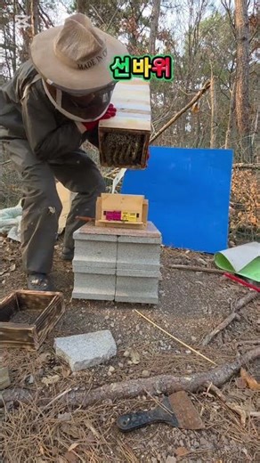 🐝 Following the Native Bee Tutorial for Beginners: Colony Expansion 👍