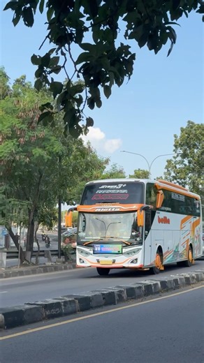 Bus Mania Belita #bustelolet #busmania