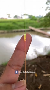 Yucatan Knot The Secret Of Fiherman Strong Smooth Fishing Knot for Braid to Mono or Fluorocarbon Leader #fishing #fisherman #fypシ゚ #fyp #fishingknot #fishingknots #tutorial #fishingline #fishingdaily #fishtank #fish #fishing | Kang Muhidin Fishing
