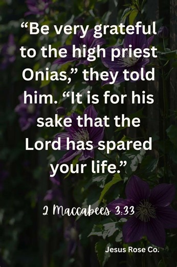 Catholic Bible Study | 2 Maccabees 3:33 | Jesus Rose Co. ✝️