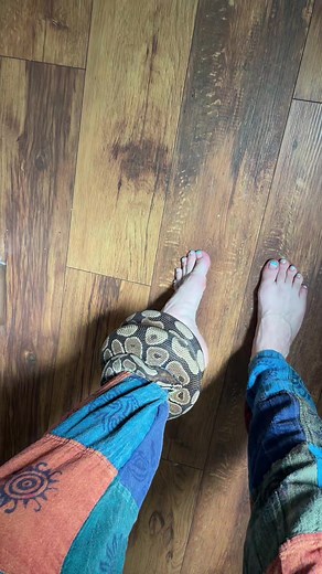 Icy Wyatt (@icywyatt)’s videos with original sound - Icy Wyatt