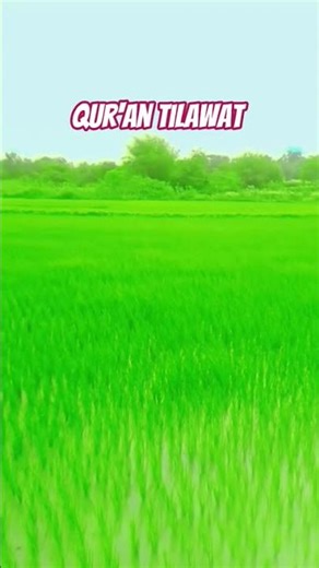 #quotes #bayan #duet #viralvideo #shortsvideo #youtubeshorts #shortvideo #trending #quran