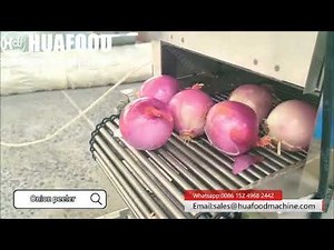 Automatic Onion Processing Line (Peeling Washing Cutting)