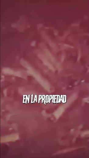 El hallazgo que destapó un crimen mucho mayor