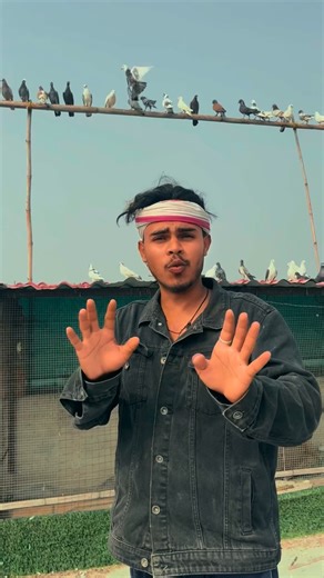 Toondra gang👊 | Aaj ak naya kabuter aa gaye 😍#reels #minivlog❤️ | Instagram