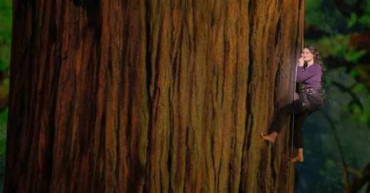 Video: See Highlights From Broadway's Redwood, Starring Idina Menzel