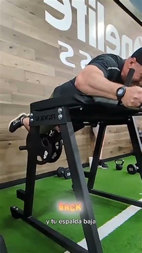 Rogue Reverse Hyper Leg Workout