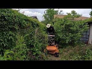 The HOA COULDN’T Even Cut it, so THEY CALLED Us- MASSIVE TRANSFORMATION
