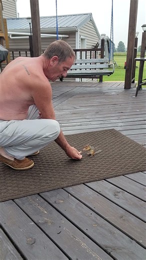 CHIPMUNK IN TRAINING (RETRO) #chipmunk #funny #cute #smart #nature #crazy #wildlife #comedy