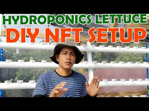Complete Beginners Guide On How To Build A SEMI - NFT System Setup - HYDROPONIC LETTUCE