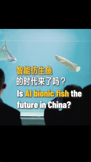 478K views · 1.6K reactions | Imagine a day when fishes in an aquarium were replaced by bionic ones? #Shanghai Ocean University recently unveiled the bionic dragon fish "Jinlin" which looks identical to real fish underwater. Beyond aquariums, #AI bionic fish pioneers aquaculture feeding, water monitoring, and marine research, according to the university. #EcoTech #ShanghaiOceanUniversity | China Daily | Facebook