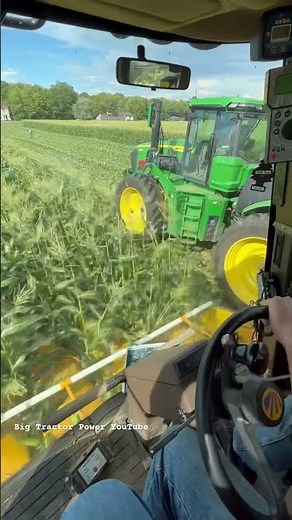 OXBO 8430 Sweet Corn Harvester #bigtractorpower #cornharvest