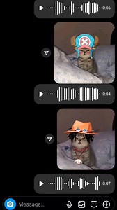 El michi one piece #onepiece #onepieceanime #anime #animeedit #otaku | Papá Otaku 463