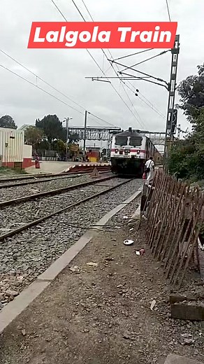 Train from Lalgola to Sealdah video from Krishnagar City Jn. #trains #LALGOLA #localtrain #trainlovers | News Social Barta 24X7