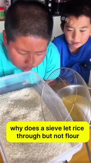 #funscience #scienceexperiments #learnontiktok #usa🇺🇸 #viral | Science Experiment