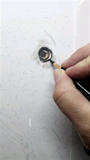 This is Cali, a beautiful Great Dane. Her portrait was commissioned for a first wedding anniversary which is celebrated with a paper gift If you would like a portrait of your pet or a gift for a loved one please get in touch #greatdane #greatdane_lovers #greatdanedoglover #dogpainting #greatdanes #petportraits #petportrait #dogportrait #artist #petartist #dogart #canineart | Animal Artist Katy Ferrari | Facebook