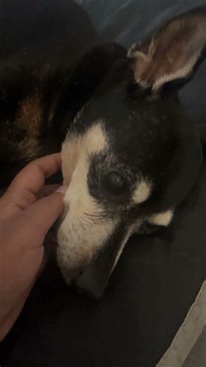 Somebody help!!!!!!!!!