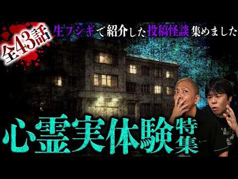 ※怒涛の43話※恐怖の139分…視聴者から届いたリアル過ぎる怪談SP【ナナフシギ】【怖い話】【生フシギ総集編76】
