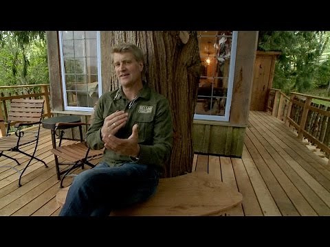 Behind the Build: The Coziest Treehouse