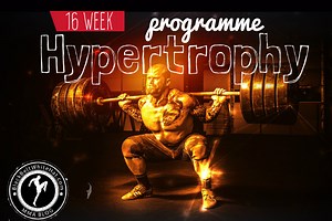 'Joe Rogan' Workout - Strength & Hypertrophy Program .pdf [2026] - Fitness & MMA Blog - BlackBeltWhiteHat.com