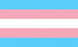 How to choose a packer?