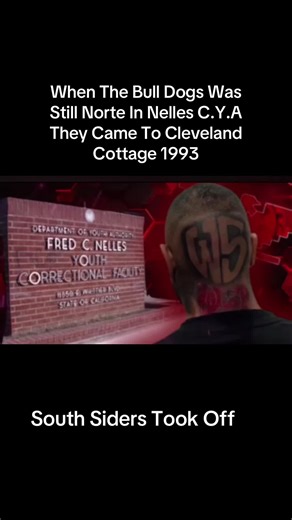 When the first bus of Norte 14 Came to Nelles they came to my cottage Cleveland. Bull Dogs was still Norte at this time #cya #jail #fredcnelles #fyp #riot