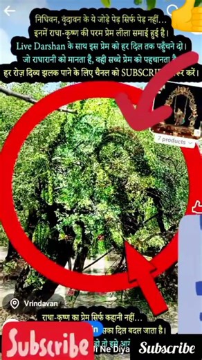 Radharani Ne Alokik Darshan Diye Nidhivan NIdhivan Me Radharani Darshan #shorts #radharani #darshan