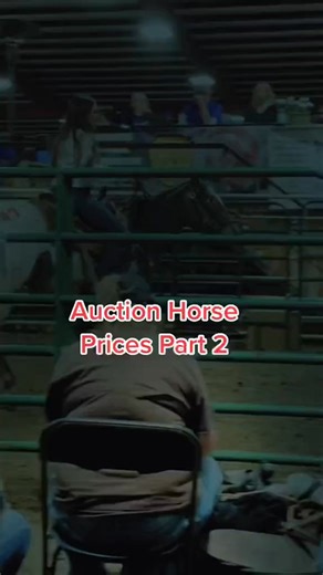 A lot of color at this horse sale! #horses #horseauction #bidding | Queen of Horse