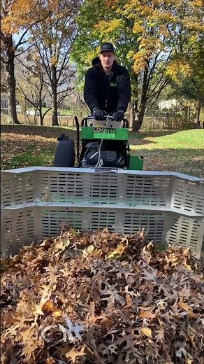 Leaf Removal Service in Overland Park