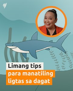 Sa usaping mga delikado sa beach sa Australia, pating agad ang pumapasok sa isip natin. Pero ang totoo, rip currents ang nangungunang hazard sa mga Australian beach. Ang rips ay malakas na channel ng tubig na dumadaloy sa baliktad na direksyon sa mga alon, na tila hihila sayo papalayo sa gitna ng karagatan. Alamin kung paano makita ang rips, ang dapat gawin sakaling mahila, at iba pang beach safety tips. Alam mo ba na hindi pating ang pangunahing dahilan sa bilang ng mga namamatay sa mga Austral