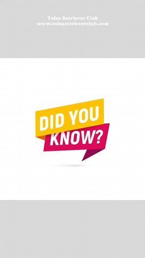Did you know that TRC hosts a monthly training day? Did you know that you do not have to be a member to attend? Did you know you can join in on these training days and bring your retriever? Did you know TRC is a group of individuals who love to get together and work on all things retrievers? Did you know TRC is a club of waterfowl hunters who hunt with their retrievers? Did you know TRC hosts hunt tests, field trials, seminars, guest speakers, monthly meetings and more? Did you know you’re welco