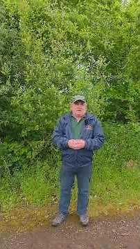 The Natterjack Toad at Fota - Biodiversity Week 2026