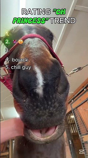 "Rating Oh pRINCESS where are u?" trend on TikTok!, which is da best???? #brainrot