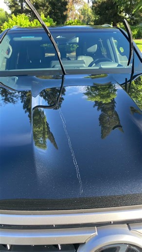 From RUINED to RESTORED Severe Hard Water Damage REMOVAL