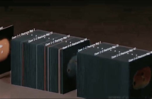 175K views · 2.1K reactions | Convolutional Neural Network (CNN) DL model visualization.﫥 | Md Ismail Sojal | Facebook